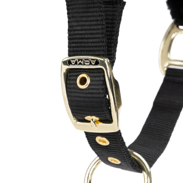 Licol et longe d’équitation Shires ARMA – cheval Licol et longe d’équitation Shires ARMA – cheval