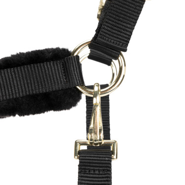 Licol et longe d’équitation Shires ARMA – cheval Licol et longe d’équitation Shires ARMA – cheval
