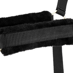 Licol et longe d’équitation Shires ARMA – cheval Licol et longe d’équitation Shires ARMA – cheval