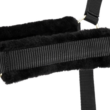 Licol et longe d’équitation Shires ARMA – cheval Licol et longe d’équitation Shires ARMA – cheval