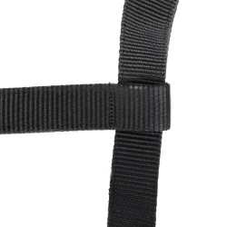 Licol et longe d’équitation Shires ARMA – cheval Licol et longe d’équitation Shires ARMA – cheval