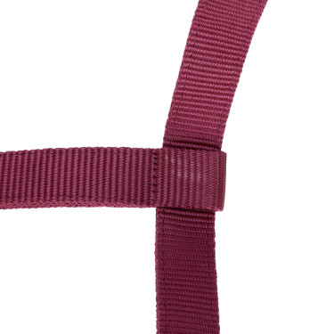 Licol et longe équitation Shires ARMA en fausse fourrure