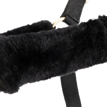 Licol et longe équitation Shires ARMA en fausse fourrure Licol et longe équitation Shires ARMA en fausse fourrure