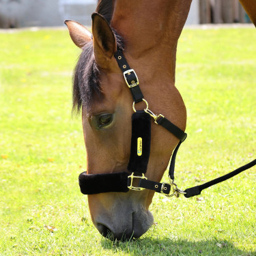 Licol et longe équitation Shires ARMA en fausse fourrure Licol et longe équitation Shires ARMA en fausse fourrure