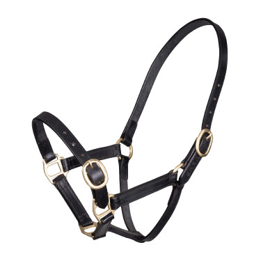 Licol d’équitation cuir réglable Shires Velociti Gara