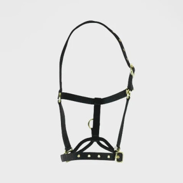 Licol de contrôle cheval Shires ARMA | Équitation