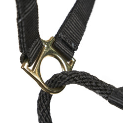 Licol de contrôle cheval Shires ARMA | Équitation