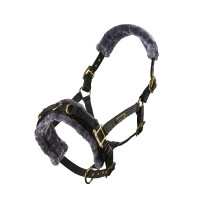 Caveçon de longe doublé polaire Shires Noir