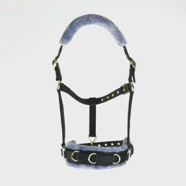 Caveçon d’équitation Shires doublé polaire ARMA Caveçon d’équitation Shires doublé polaire ARMA