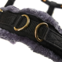 Caveçon d’équitation Shires doublé polaire ARMA Caveçon d’équitation Shires doublé polaire ARMA
