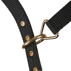 Caveçon d’équitation Shires doublé polaire ARMA Caveçon d’équitation Shires doublé polaire ARMA