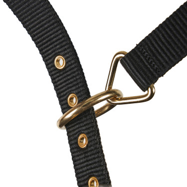 Caveçon d’équitation Shires doublé polaire ARMA Caveçon d’équitation Shires doublé polaire ARMA
