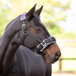 Caveçon d’équitation Shires doublé polaire ARMA Caveçon d’équitation Shires doublé polaire ARMA