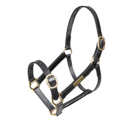 Licol cuir réglable équitation Shires Velociti Gara | EQUI-CLIC Licol cuir réglable équitation Shires Velociti Gara | EQUI-CLIC
