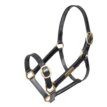 Licol en cuir entièrement réglable Shires Velociti Gara Noir