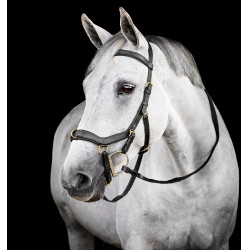 Bridon Horseware Micklem® Multi