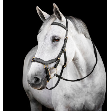 Bridon Horseware Micklem® Multi