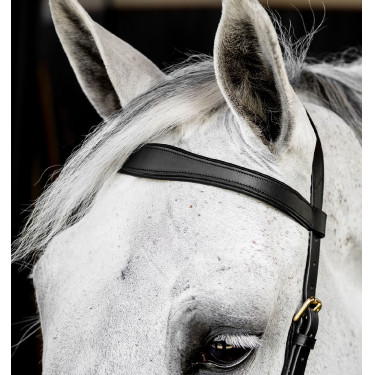 Bridon Horseware Micklem® Multi