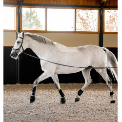 Bridon Horseware Micklem® Multi