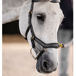 Bridon Horseware Micklem® Multi