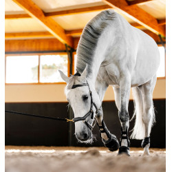Bridon Horseware Micklem® Multi