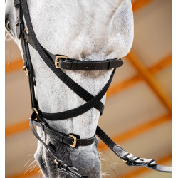 Bridon Horseware Micklem® Multi