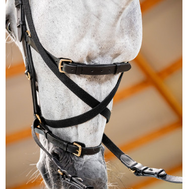 Bridon Horseware Micklem® Multi