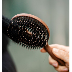 Brosse pour crinière et queue Horseware