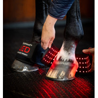 Mini bandages de thérapie par lumière rouge LED Horseware Lot de 4 Noir / noir