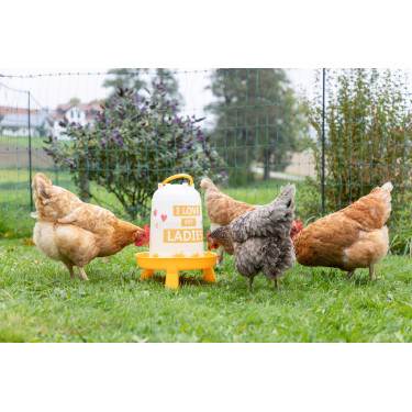Abreuvoir en plastique avec motif Ladies Kerbl