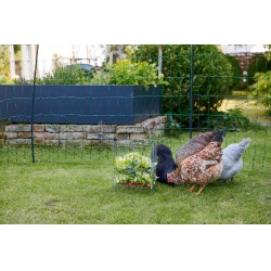 Râtelier pour petits animaux Kerbl Râtelier pour petits animaux Kerbl