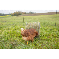 Râtelier pour petits animaux Kerbl Râtelier pour petits animaux Kerbl