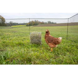 Râtelier pour petits animaux Kerbl Râtelier pour petits animaux Kerbl