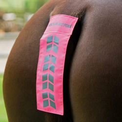 Sangle de queue Shires Equi-Flector® Rose vif
