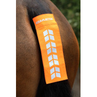 Sangle de queue Shires Equi-Flector® Orange vif Sangle de queue Shires Equi-Flector® Orange vif