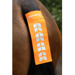 Sangle de queue haute visibilité équitation Shires Sangle de queue haute visibilité équitation Shires