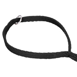 Laisse matelassée chien Shires Digby & Fox – équitation
