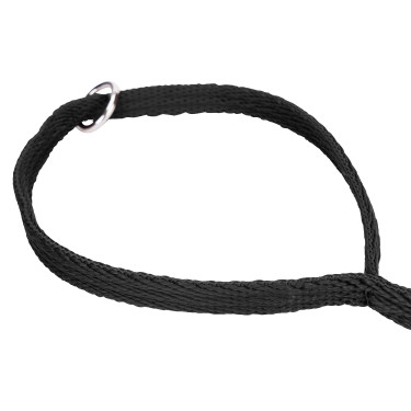Laisse matelassée chien Shires Digby & Fox – équitation