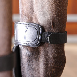Genouillères cheval chaud/froid Shires Arma Nx-Max