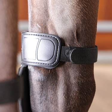 Genouillères cheval chaud/froid Shires Arma Nx-Max