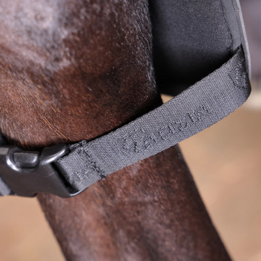 Genouillères cheval chaud/froid Shires Arma Nx-Max