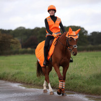 Couvre-reins en mesh Shires Equi-Flector® Orange vif Couvre-reins en mesh Shires Equi-Flector® Orange vif