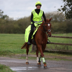 Couvre-casque équitation haute visibilité Shires Equi-Flector