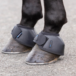 Cloches d’équitation Shires Arma Nx-Max+ antichoc Cloches d’équitation Shires Arma Nx-Max+ antichoc