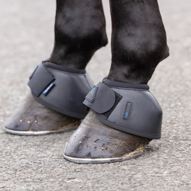 Cloches d’équitation Shires Arma Nx-Max+ antichoc Cloches d’équitation Shires Arma Nx-Max+ antichoc