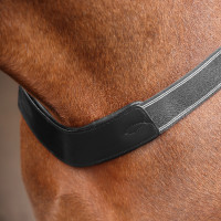 Bricole élastique Shires Velociti Rapida Noir