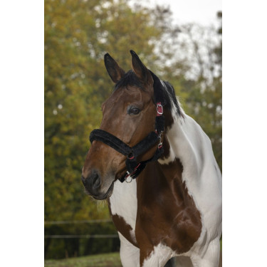 Licol Norton Full mouton synthétique Licol Norton Full mouton synthétique