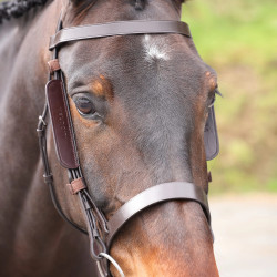 Œillères en cuir Shires Velociti Gara Marron Œillères en cuir Shires Velociti Gara Marron