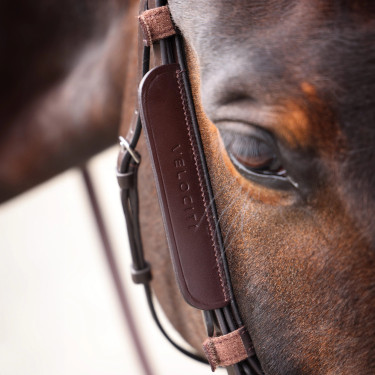Œillères en cuir Shires Velociti Gara Marron Œillères en cuir Shires Velociti Gara Marron