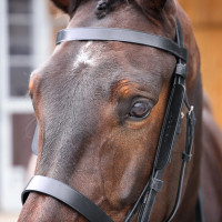 Œillères en cuir Shires Velociti Gara Noir